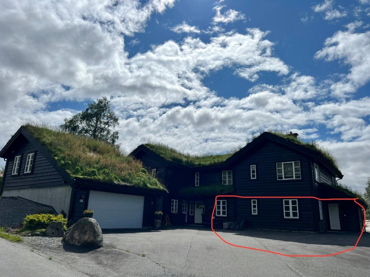 Flott Leilighet Pa Haugen I Sirdal Tjorhom 외부 사진
