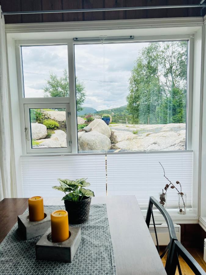 Flott Leilighet Pa Haugen I Sirdal Tjorhom 외부 사진