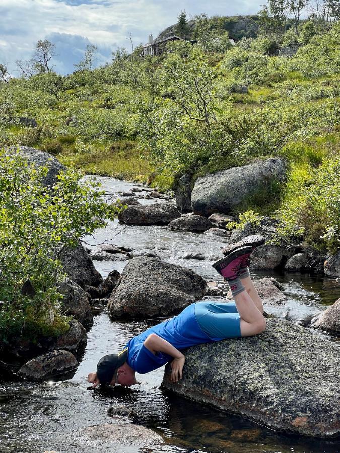 Flott Leilighet Pa Haugen I Sirdal Tjorhom 외부 사진