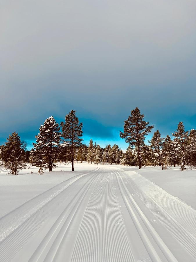 Flott Leilighet Pa Haugen I Sirdal Tjorhom 외부 사진